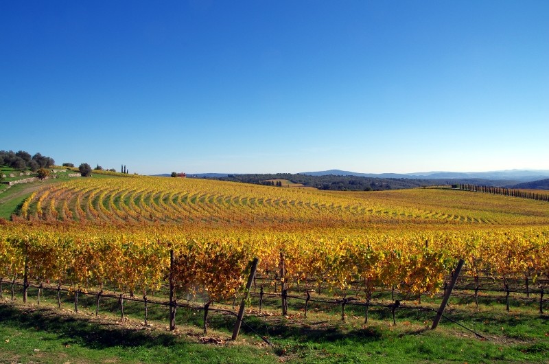 agriturismo chianti siena arezzo, valdarno, firenze